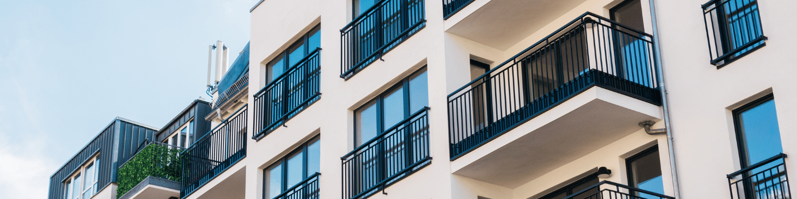 Kopie von LinkedIn Banner